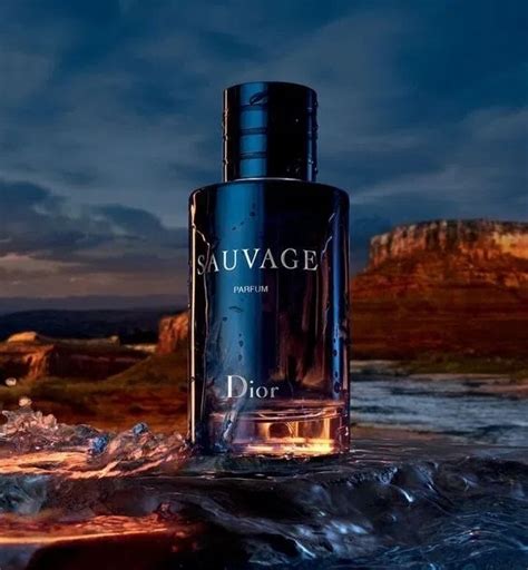 what stores sell dior sauvage|dior sauvage 100ml best price.